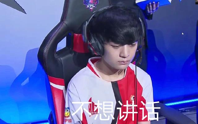 提供了鲜明